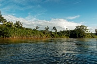 CostaRica BocaTapada RioSanCarlos o0435